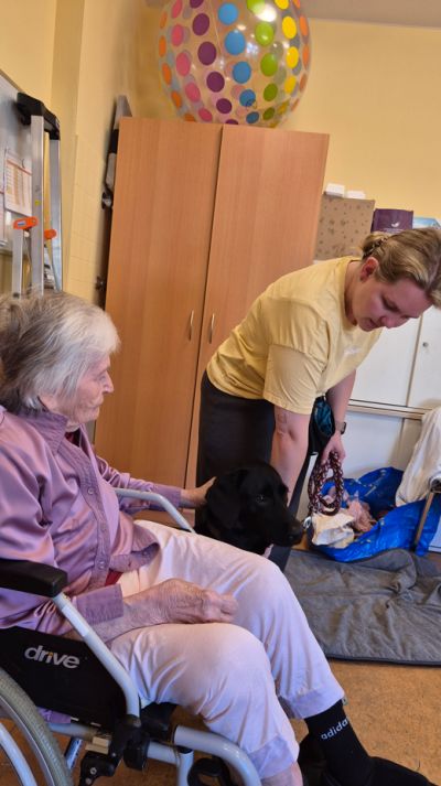 Wir bekamen Besuch von unserem Therapiehund – Bild 1